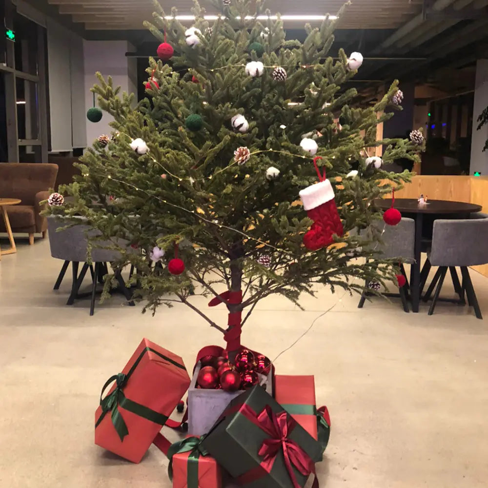 Holiday Monogram Knit Socks